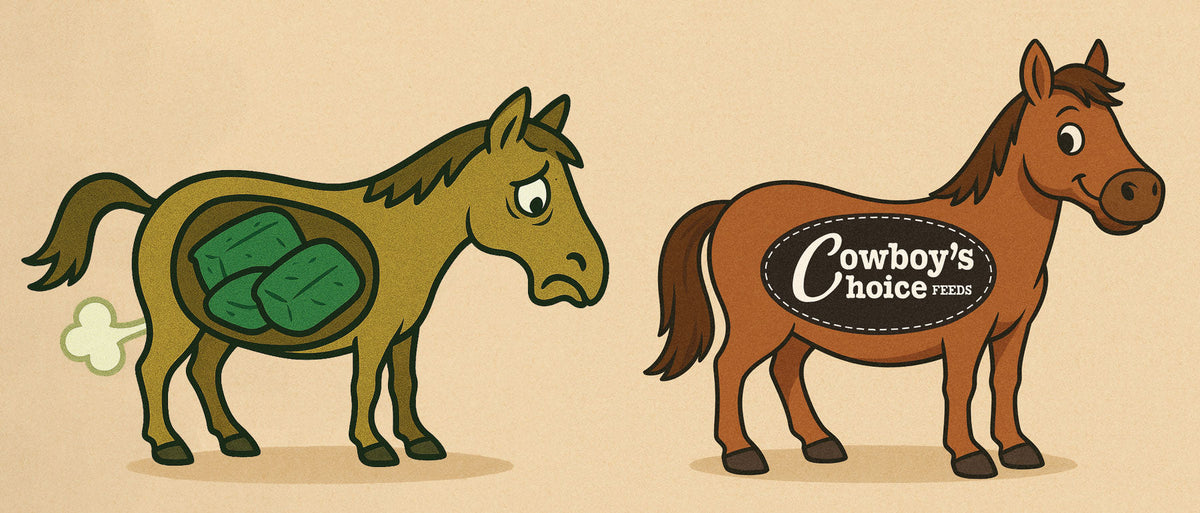 Colder Weather? Reduce Colic Risk With Smarter Fiber This Winter
