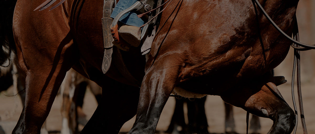 Stronger tendons, faster recovery: The antioxidant advantage of Cowboy Red Pellets