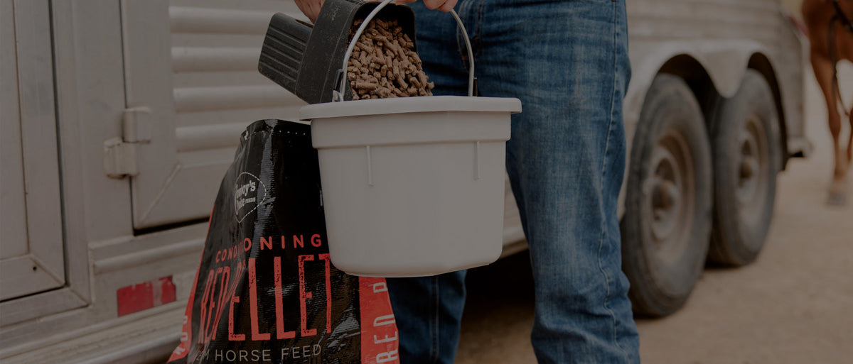Ulcers, Hay Bellies & Focused Performance