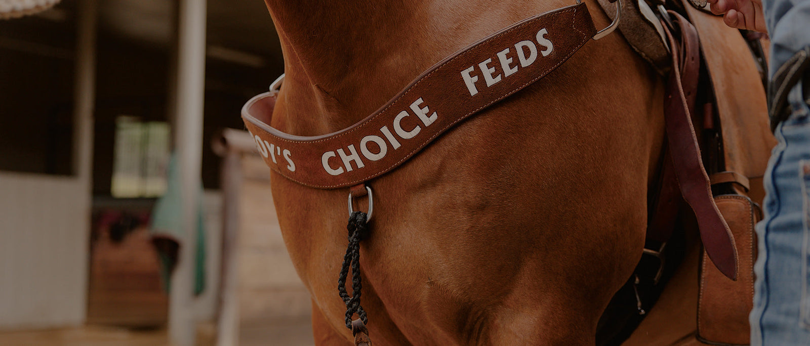 Copper: The Missing Link in Modern Horse Nutrition