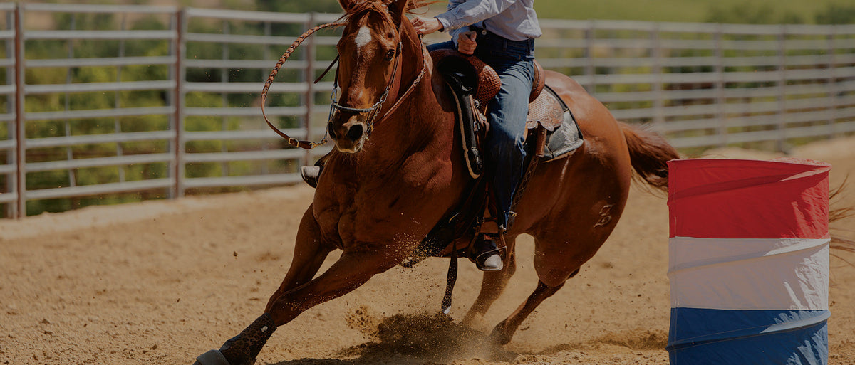 Forage-Based Performance Horse Feed